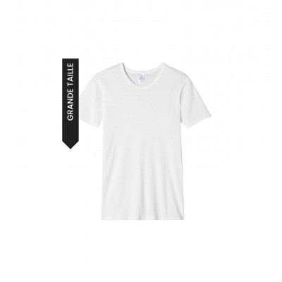 T-SHIRT HOMME - LE MAILLOT - GRANDE TAILLE